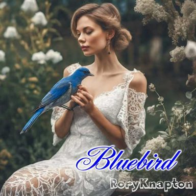 Original song for Joyce, Bluebird
